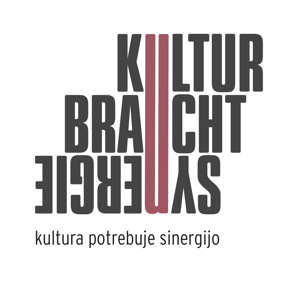 kultur braucht synergie